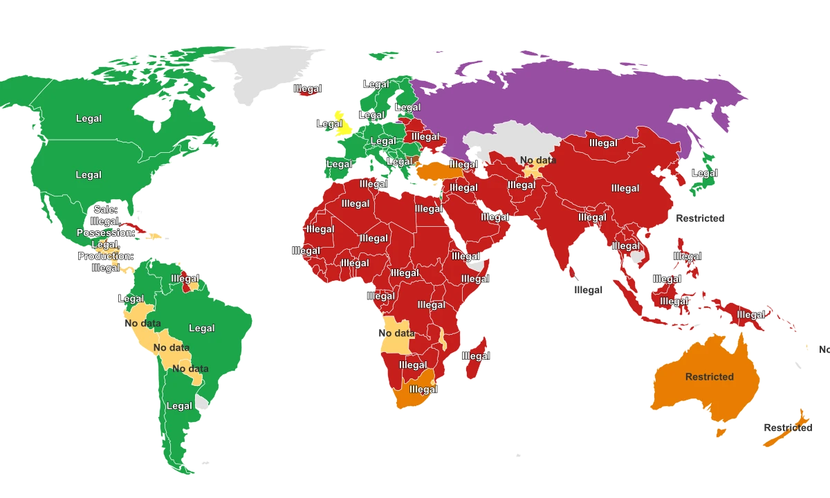 Countries Where Porn Is Illegal