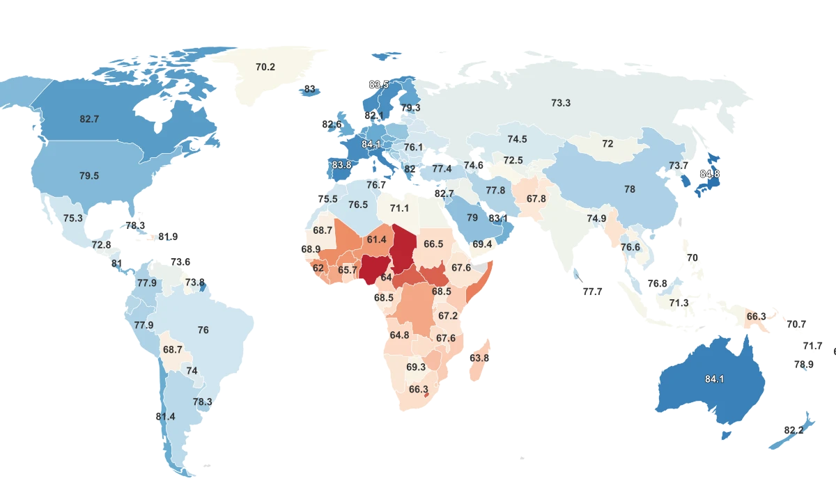 Life Expectancy By Country