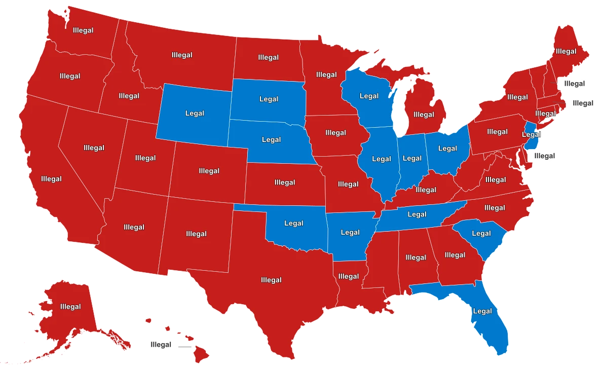 Pet Raccoon Legal States